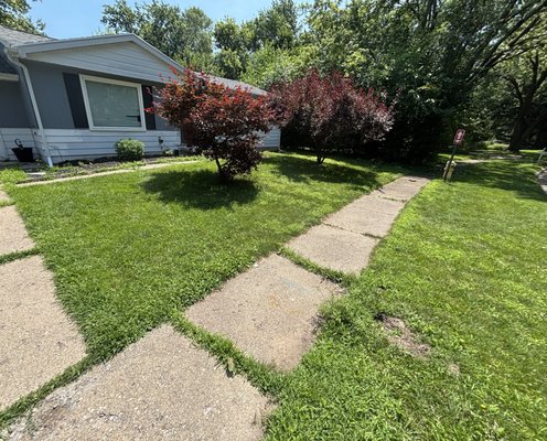 Edging Services - 𝐄𝐝𝐠𝐢𝐧𝐠 𝐦𝐚𝐤𝐞𝐬 𝐚𝐥𝐥 𝐭𝐡𝐞 𝐝𝐢𝐟𝐟𝐞𝐫𝐞𝐧𝐜𝐞!
A clean edge brings instant curb appeal, making your lawn look sharp, tidy, and professionally cared for.
Want your sidewalks and driveways looking this crisp? Send us a message — we’d love to help! Edging Services - 𝐄𝐝𝐠𝐢𝐧𝐠 𝐦𝐚𝐤𝐞𝐬 𝐚𝐥𝐥 𝐭𝐡𝐞 𝐝𝐢𝐟𝐟𝐞𝐫𝐞𝐧𝐜𝐞!
A clean edge brings instant curb appeal, making your lawn look sharp, tidy, and professionally cared for.
Want your sidewalks and driveways looking this crisp? Send us a message — we’d love to help!