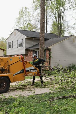 AAA TREE SERVICE tree removal - AAA TREE SERVICE tree removal. Call or text us for a free estimate! 540-455-9386
