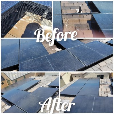 Improving Value of Homes and Businesses - Critter Guard, Solar Panel Cleaning, Curb Appeal it all plays a part in improving the value of a home an business. Maintaining property grounds can up the value of a naborhood.