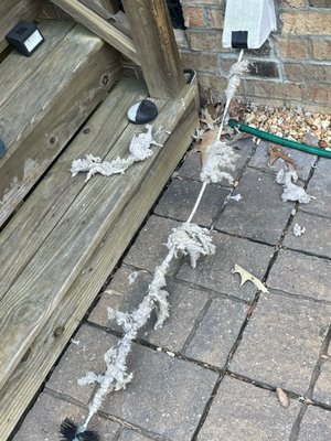 Dryer vent cleaning and repair - Here are a few photos of what we regularly run into. Dryer vent cleaning and repair - Here are a few photos of what we regularly run into.