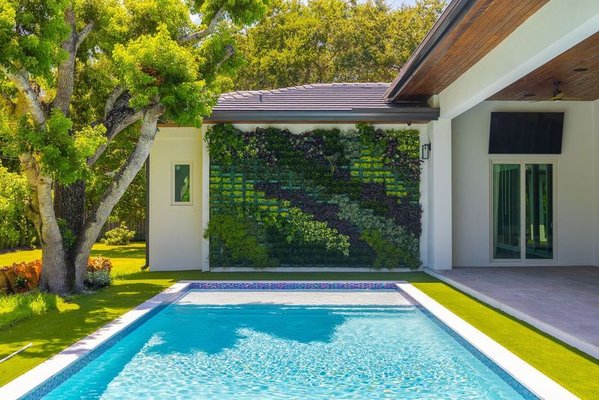 Green walls - We specialize in installing vertical green wall gardens. Our retail front includes a variety of exotic houseplants, orchids, succulents, cacti, and planters.