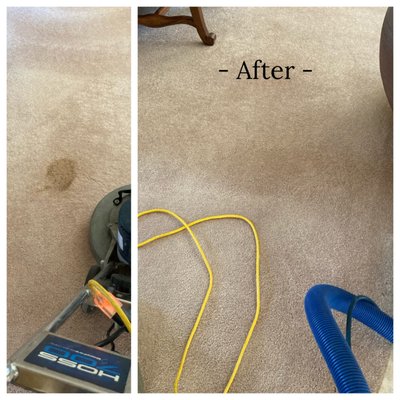 Carpet Stain Removal - We stand behind all of our work with a 100% customer satisfaction guarantee. If any carpet stains or spots come back, so do we, at no charge to you!