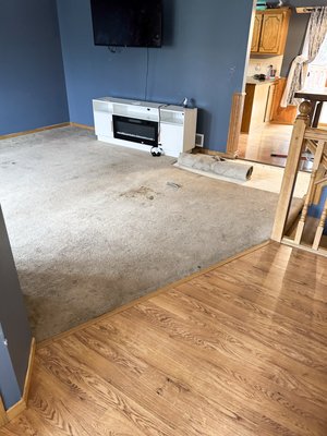 LVP Flooring Install - On this lovely project we tore out the old carpet and existing wood floors. We then installed LVP, and trim!