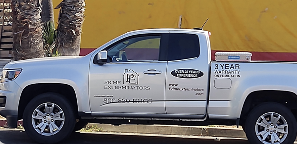Pest Control - Prime Exterminators offers recurring pest control services for residential and commercial clients. If you need your home sprayed or are noticing Ants, Bedbugs, Cockroaches, Hornets, or Termites please contact us today, we are here to help!