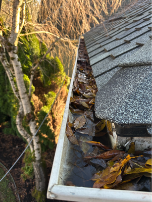 GUTTER CLEANING - West Linn home owner reached out to Pro Power Wash for gutter cleaning. He has a tree next to the house that fills up the gutters and causes downspouts to be blocked as well. Our team cleaned out gutters and downspouts and tested to make sure there are no blockages.

Overflowing gutters isn’t only inconvenience but also unsafe and dangerous to the house. Water pooling next to foundation will challenge integrity of the foundation and may accumulate in the crawl space or basement.

Give us a call for your cleaning needs.
