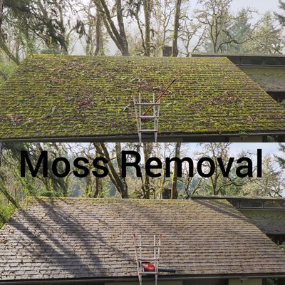Moss Removal Service - This roof had 2 inches of moss on it, that is not only unsightly, but very harmful to the roof over time. We were able to remove the moss, and soft wash the roof to kill the remaining organics that were still growing. No amount of moss growth can scare us away from cleaning your roof. Reach out today, and let the Revive Washing Pros restore your roof to its former glory.