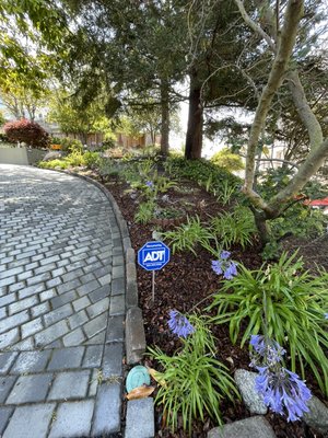 New mulch and new plants - This job was done in Rockridge. We added new mulch and also added a couple of new/replace plants to make it look good. Also we fixed the irrigation so each plant could receive enough water to stay healthy. These plants were planted with planting mix.