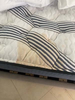 Mattress cleaning - Mattress cleaning service Mattress cleaning - Mattress cleaning service