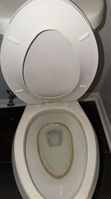 Bathroom Toilet Deep Cleaning - Detailed toilet cleaning removed visible buildup, residue, and grime from the bowl, seat, rim, and surrounding areas, leaving the bathroom noticeably cleaner and refreshed. Looking for the best house cleaning service Tampa Bay homeowners can trust? Call The Real Maids at (813) 999-0059. Bathroom Toilet Deep Cleaning - Detailed toilet cleaning removed visible buildup, residue, and grime from the bowl, seat, rim, and surrounding areas, leaving the bathroom noticeably cleaner and refreshed. Looking for the best house cleaning service Tampa Bay homeowners can trust? Call The Real Maids at (813) 999-0059.