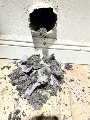 A difference of night and day - Just look at the difference!
We believe in full transparency with our costumers.
Our technicians make sure to include the clients every step of the way, from start to finish, showing  them real time videos and pictures of the condition of the vents, and the results speaks for themselves.