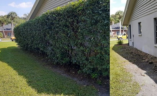 #MorrisLife - At Morris Tree Service, nurturing is our nature. We are committed to taking care of your trees like they are our own. And our dedicated team of local tree care experts is trained to treat your trees with the utmost care and provide you with all your tree care solutions. #MorrisLife - At Morris Tree Service, nurturing is our nature. We are committed to taking care of your trees like they are our own. And our dedicated team of local tree care experts is trained to treat your trees with the utmost care and provide you with all your tree care solutions.