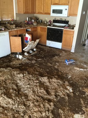 Emergency Water Mitigation - We arrived on site to an entire home flooded and a distraught customer. We quickly mitigated the property and put the homeowners mind at ease.