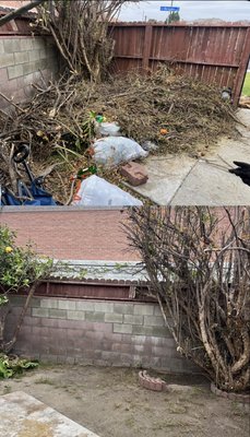 Junk Removal Services - Local teenager offering junk removal services. Same-day service available.
Message me with a pic for a quick quote!
562-241-5251