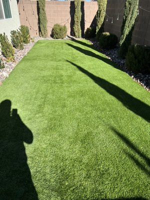 Artificial turf cleanup and filling - This artificial turf had a lot of poop stains  all over it, got clean up , brush and added antibacterial shampoo for smell and clean up, as well added antibacterial filling for turf . Are of 12x25 feet .