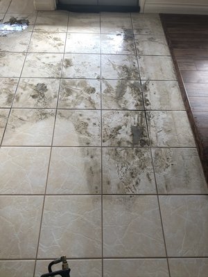 Tile & Grout cleaning - Silver Olas scrubs each grout line with a brush, then machine, scrubs, the tile and grout, we then steam clean followed by drying pans, and impregnating sealer to help protect the grout Tile & Grout cleaning - Silver Olas scrubs each grout line with a brush, then machine, scrubs, the tile and grout, we then steam clean followed by drying pans, and impregnating sealer to help protect the grout