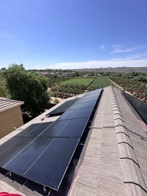 Solar Panel exclusion - Protecting your solar panels with proper proofing is essential for maintaining both the efficiency of your solar system and the integrity of your roof. When pigeons and other birds nest under your panels, they can cause significant damage. Their droppings can corrode wiring and components, leading to costly repairs or reduced performance. Additionally, nesting debris can clog drainage areas, leading to potential water damage on your roof. By investing in effective proofing solutions, you safeguard your solar panels from these issues, ensuring they operate at peak performance. Simultaneously, you preserve your roof's structure and longevity, protecting your home from potential leaks and damage. It's a proactive approach that saves you time, money, and headaches in the long run Solar Panel exclusion - Protecting your solar panels with proper proofing is essential for maintaining both the efficiency of your solar system and the integrity of your roof. When pigeons and other birds nest under your panels, they can cause significant damage. Their droppings can corrode wiring and components, leading to costly repairs or reduced performance. Additionally, nesting debris can clog drainage areas, leading to potential water damage on your roof. By investing in effective proofing solutions, you safeguard your solar panels from these issues, ensuring they operate at peak performance. Simultaneously, you preserve your roof's structure and longevity, protecting your home from potential leaks and damage. It's a proactive approach that saves you time, money, and headaches in the long run