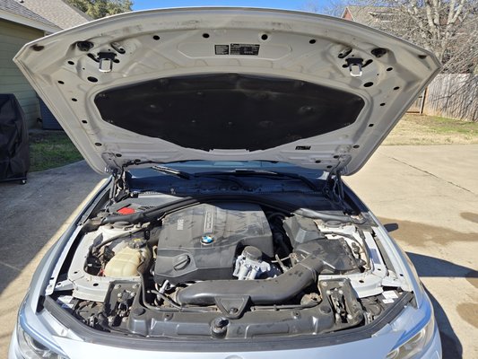 Engine Bay Cleaning - The client recently purchased a BMW and wanted his car look and stay as new as possible. He was satisfied with the results. Engine Bay Cleaning - The client recently purchased a BMW and wanted his car look and stay as new as possible. He was satisfied with the results.