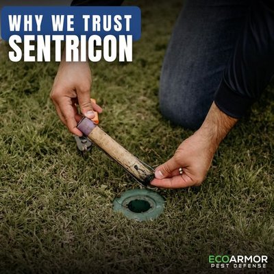 Sentricon Eco-Friendly Termite Protection That Works! - Protect your home from termites with Sentricon. Proven, eco-friendly, and effective. Contact us today for a pest-free tomorrow!