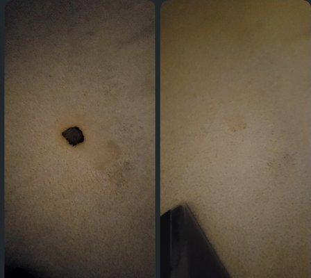 Nasty Spot - Gone! - Got rid of this nasty carpet spot! They tried - we did it! Nasty Spot - Gone! - Got rid of this nasty carpet spot! They tried - we did it!