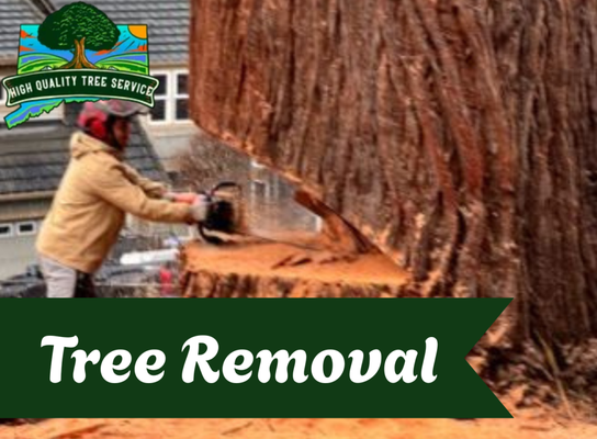 Tree Removal - Need a tree removed? No job is too large! Tree Removal - Need a tree removed? No job is too large!