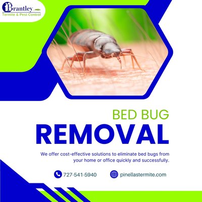 Bed Bug Removal - Are you worried because you have bed bugs? Don’t be, because we have you covered! We offer cost-effective solutions to eliminate bed bugs from your home or office quickly and successfully. We guarantee that you’ll be satisfied with the results, and we have affordable options for every type of budget.