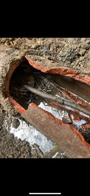 ANM Sewer Repairs - While hydro jetting is a great tool for cleaning, it can sometimes uncover issues that make pipe replacement the better choice to avoid future problems and ensure the longevity of your plumbing system. A new pipe, free from damage and root intrusion, will allow water to flow efficiently. Replacing an old or damaged pipe ensures that there will be no recurring issues and reduces the need for frequent maintenance or repairs, making it a more cost-effective solution in the long run.