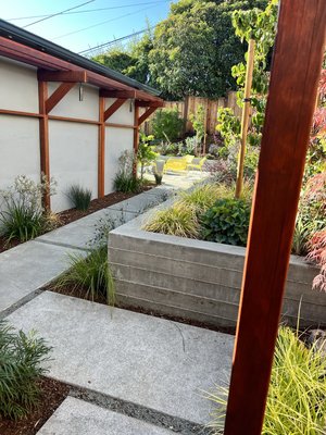 San Mateo, CA - This was a complete change is this back yard, beautiful design by architect and homeowner. We executed the installation of pergolas, deck, concrete walls, concrete steps, flagstone and entire landscape. Very fun project.