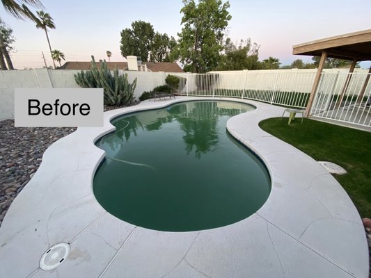 Algae Control - We provided algae control service to a very green pool. Under attentive care, the pool was back to healthy, sparkling water in just a few days. Algae Control - We provided algae control service to a very green pool. Under attentive care, the pool was back to healthy, sparkling water in just a few days.