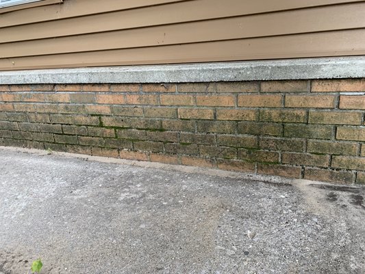 Sensitive brick cleaning - On this cabin on Silver Lake we washed the cabin siding and washed all of the mold and algae off of the brick with no damage. We use proven sensitive soft washing systems to clean the brick and kill all the organic growth. Sensitive brick cleaning - On this cabin on Silver Lake we washed the cabin siding and washed all of the mold and algae off of the brick with no damage. We use proven sensitive soft washing systems to clean the brick and kill all the organic growth.