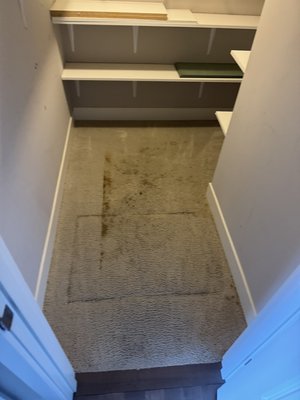 Latest works! - Hard stain in this closet room. See how it disappears completely! Latest works! - Hard stain in this closet room. See how it disappears completely!