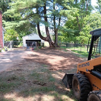 Brush clearing project - A small brush and shrub clearing project. Brush clearing project - A small brush and shrub clearing project.