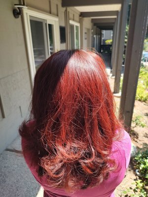 Nature’s colors - Henna & Indigo - Discover the beauty of natural hair color! Henna gives your hair a healthy shine, strength, and softness while adding rich, warm tones. When blended or layered with indigo, it creates deeper shades—from soft browns to deep blacks—without the harsh chemicals.
It’s a gentle, nourishing way to color your hair while keeping it vibrant, smooth, and full of life. Nature’s colors - Henna & Indigo - Discover the beauty of natural hair color! Henna gives your hair a healthy shine, strength, and softness while adding rich, warm tones. When blended or layered with indigo, it creates deeper shades—from soft browns to deep blacks—without the harsh chemicals.
It’s a gentle, nourishing way to color your hair while keeping it vibrant, smooth, and full of life.