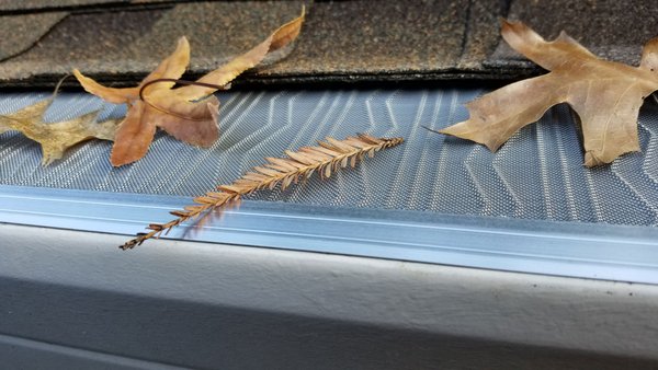 Rain Gutter Leaf Protection - Protect Your Home from Wildfires with Leaf Blaster PRO from LI Metal Systems!

LeafBlaster Pro is a stainless steel mesh gutter guard that keeps fire hazards like dry leaves, pine needles, and roof grit from accumulating in gutters. Its micro-mesh materials and aluminum extruded frame provide strength and flexibility, contributing to ultimate gutter protection for households. Moreover, it is an important layer of defense that can help prevent a home fire.

Reap the benefits of the LeafBlaster Pro against fires with LI Metal Systems, California's first and most experienced seamless rain gutter company.