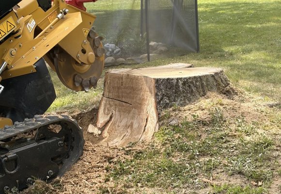 Stump Grinding Only - We transform those ugly lingering stumps into the land you want to see. Grinding at least 8-12 inches below surface level to ensure you never have to see the stump again. Stump Grinding Only - We transform those ugly lingering stumps into the land you want to see. Grinding at least 8-12 inches below surface level to ensure you never have to see the stump again.