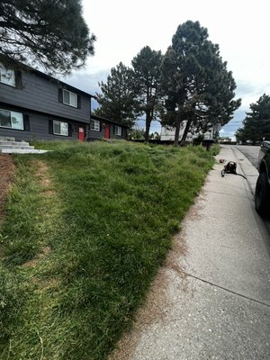 City violation cleanup project 2023 - This customer called us furious when she received a city ordnance violation for the overgrown lawn on one of their rental properties. Our crew went to the property the next day and performed an amazing transformation. I can’t believe what they were able to accomplish on this one! Great work team! The city inspector was blown away by the transformation as well and waived the fines for the customer.
