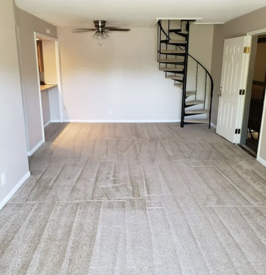 Carpet cleaning and Repair - Not everyone has time for all the cleaning tasks, especially carpet cleaning. M & L Carpet Cleaning is your go-to for top-notch residential carpet cleaning in Kalamazoo, MI. Trust us to enhance your home's appearance with expert cleaning solutions and techniques. Our skilled team swiftly handles pet stains, dander, and deep-seated dirt on any carpet material.  

Experience top-quality professional carpet repair services for both commercial and residential properties. Our skilled team is dedicated to restoring your carpets to their original condition, no matter the size or scope of the damage. Trust us to provide expert repairs that will enhance the overall appearance and longevity of your carpets.