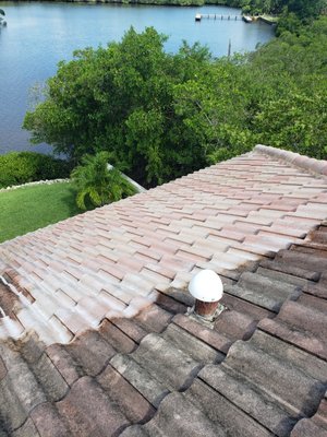 Soft wash roof cleaning - Low pressure roof cleaning Soft wash roof cleaning - Low pressure roof cleaning