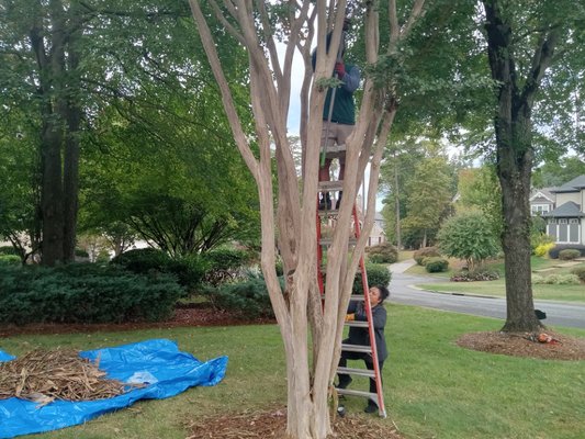 Mulching - We offer many Landscaping Services. Installing mulching and tree trimming.