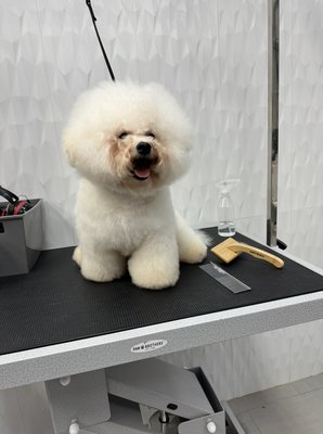 Dematting - Baby was de matted after bath, client like himself with a puffy look Dematting - Baby was de matted after bath, client like himself with a puffy look