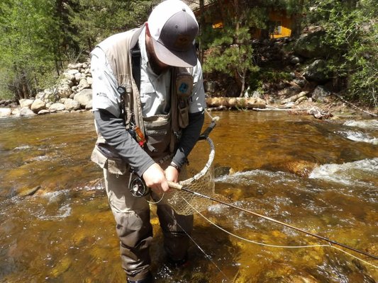 2026 spring and early summer season - come visit the Dirty Dog Fly Shop! we have spent 25 years fishing all colorado. I take immense pride is curating beautifully handcrafted flies suited for the rocky Mountains. I offer classes for beginners and intermediate anglers; Fly tying, rod building, net building, casting techniques, rigging, knot tying and entemology (the study of bugs)
I hope I have interested you and I look forward to helping you fill your fly box with flies that actually work to imitate the hatch. Tight Lines friends.
(we are not a brick and Mortar fly shop) 2026 spring and early summer season - come visit the Dirty Dog Fly Shop! we have spent 25 years fishing all colorado. I take immense pride is curating beautifully handcrafted flies suited for the rocky Mountains. I offer classes for beginners and intermediate anglers; Fly tying, rod building, net building, casting techniques, rigging, knot tying and entemology (the study of bugs)
I hope I have interested you and I look forward to helping you fill your fly box with flies that actually work to imitate the hatch. Tight Lines friends.
(we are not a brick and Mortar fly shop)