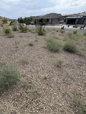 Fall clean up book now for 20% off first time customers!! - This was a Hoa clean up for a new development Fall clean up book now for 20% off first time customers!! - This was a Hoa clean up for a new development