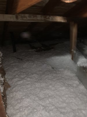 Attic insulation - This is one of my first project myself