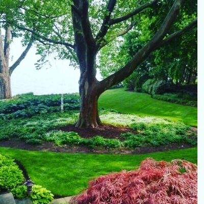 Landscape Maintenance - Full Maintenance Package (V.I.C) clients. Lawn, Garden and annual enhancements Landscape Maintenance - Full Maintenance Package (V.I.C) clients. Lawn, Garden and annual enhancements