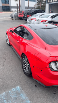 2018 Mustang Quarter Panel Repair - This repair was performed following strict I-CAR and OEM guidelines, ensuring structural integrity and long-lasting results.
No drilling was done on the panel to preserve factory corrosion protection.

The damaged area was professionally pulled and reshaped using weld-on techniques without compromising the panel.

Precision sanding, bodywork, and paint blending were carried out to achieve a seamless factory match.

Back on the road in just 5 days, with showroom-quality results.

Quality. Speed. Reliability. Trust Alpha Auto Collision for repairs done right.