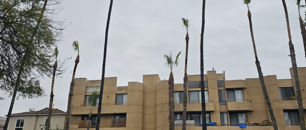 Tree Maintenance - We are a family owned and operated tree service business with 30+ years of experience. We are licensed and bonded. We specialize in tree trimming, removal, and maintenance, providing quality services to enhance the safety and appearance of residential and commercial properties. We also provide maintenance for fire mitigation, which includes slopeside cleanups. We pride ourselves in great service, affordable prices and professionalism. Call us today for a free estimate! Tree Maintenance - We are a family owned and operated tree service business with 30+ years of experience. We are licensed and bonded. We specialize in tree trimming, removal, and maintenance, providing quality services to enhance the safety and appearance of residential and commercial properties. We also provide maintenance for fire mitigation, which includes slopeside cleanups. We pride ourselves in great service, affordable prices and professionalism. Call us today for a free estimate!