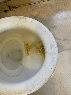 bathroom cleaning - the toilet was completely messed.