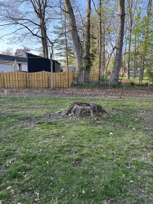Bushes removed - This customer needed bushes removed! We did them for a very affordable cost! Need any bushes removed feel free to call for an free estimate!
