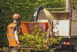 Chipping Services and Debris Hauling - Chipping services are becoming increasingly popular as homeowners and businesses look to maintain their properties in a cost-effective manner. Chipping services use specialized machines to chip away at overgrown or dead trees and other brush, reducing them into small pieces. This makes it easier to haul away or use for mulch or other landscaping projects.
The resulting mulch can be used to fertilize the soil and cover exposed roots and plants, helping to prevent soil erosion and keep your lawn looking great. Additionally, the chips can be used to create pathways, walkways, or other decorative features. This also help remove potentially hazardous debris that can pose a danger to people and animals. By removing the debris, you can help keep your property clean and safe for everyone to enjoy.
Debris hauling of trees and other vegetation is a necessary part of maintaining a safe and healthy environment. Trees and other vegetation can become dangerous when left to overgrow and can cause damage to nearby structures and infrastructure. Regular debris hauling of trees and other vegetation is important to keep the environment healthy and safe.
It is also important to keep in mind the local regulations and laws that may be in place when dealing with debris hauling of trees and other vegetation. There are different types of debris hauling that can be used depending on the size and type of vegetation that needs to be removed.It is important to understand local regulations and laws in order to ensure the safe disposal of debris and vegetation. Debris hauling of trees and other vegetation is an essential part of maintaining a healthy and safe environment and should be taken seriously.
Call or text us for your free estimate! Chipping Services and Debris Hauling - Chipping services are becoming increasingly popular as homeowners and businesses look to maintain their properties in a cost-effective manner. Chipping services use specialized machines to chip away at overgrown or dead trees and other brush, reducing them into small pieces. This makes it easier to haul away or use for mulch or other landscaping projects.
The resulting mulch can be used to fertilize the soil and cover exposed roots and plants, helping to prevent soil erosion and keep your lawn looking great. Additionally, the chips can be used to create pathways, walkways, or other decorative features. This also help remove potentially hazardous debris that can pose a danger to people and animals. By removing the debris, you can help keep your property clean and safe for everyone to enjoy.
Debris hauling of trees and other vegetation is a necessary part of maintaining a safe and healthy environment. Trees and other vegetation can become dangerous when left to overgrow and can cause damage to nearby structures and infrastructure. Regular debris hauling of trees and other vegetation is important to keep the environment healthy and safe.
It is also important to keep in mind the local regulations and laws that may be in place when dealing with debris hauling of trees and other vegetation. There are different types of debris hauling that can be used depending on the size and type of vegetation that needs to be removed.It is important to understand local regulations and laws in order to ensure the safe disposal of debris and vegetation. Debris hauling of trees and other vegetation is an essential part of maintaining a healthy and safe environment and should be taken seriously.
Call or text us for your free estimate!