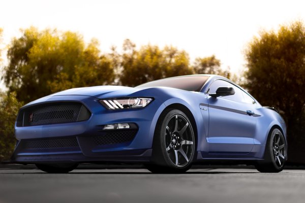 2019 Ford Mustang GT350R - This 2019 Ford GT350R was completely wrapped in XPEL Stealth giving its factory paint that satin look. After getting this vehicle completely wrapped we reinstalled a new set of OEM Ford racing stripes. This is the most optimal method since we don't have to wrap over the stripes and have a light air channel gap along the edge of the stripes. The stripes are in exact spec as we use laser grid to get them perfectly aligned. Now protected from rock chips, scratches, and swirls this pony can hit the track or the canyon without fear of damage. Definitely stands out from the crowd now!
