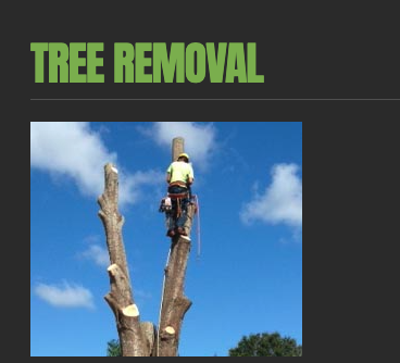 Professional Tree Removal - We are licensed and Insured to remove damaged and hazardous trees from commercial or residential properties.